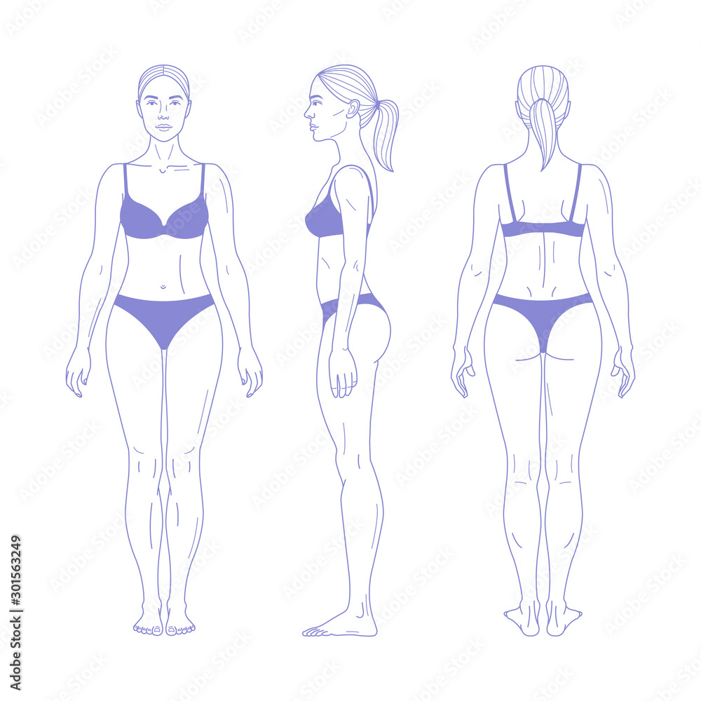 Woman full length figure silhouette in realistic linear style. Female body in underwear. Front, back and side views. Vector illustration isolated on white background Woman full length figure silhouette in realistic linear style. Female body in underwear. Front, back and side views. Vector illustration isolated on white background