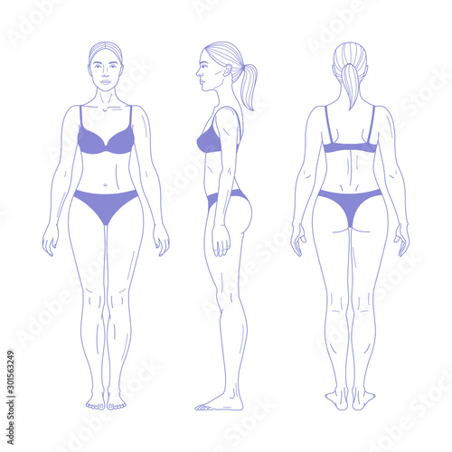  Woman full length figure silhouette in realistic linear style. Female body in underwear. Front, back and side views. Vector illustration isolated on white background