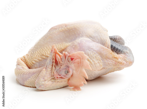 Raw fresh chicken isolated on white background  © zcy