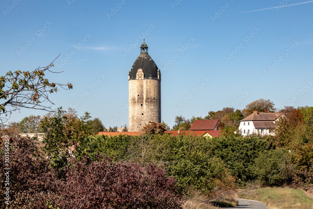 Saxony Anhalt, view of Neuburg Castle with tower in Freyburg / Unstrut