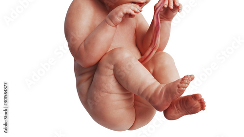 Foto Embryo human development fetus unborn, close view. 3D rendering