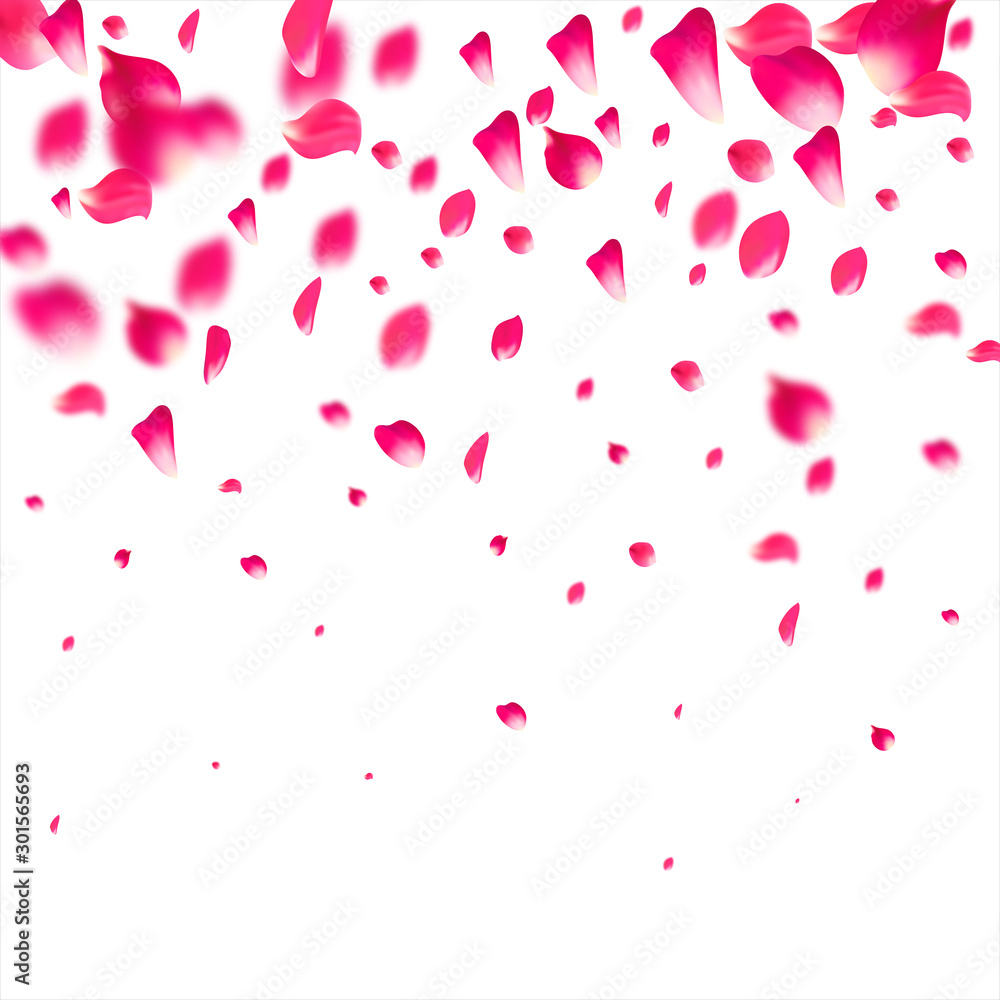 Pink falling petals isolated. Sakura flower pastel background.