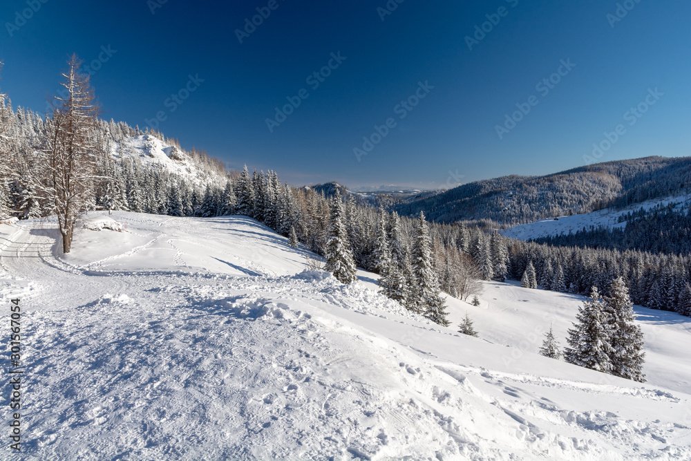 beautiful winter landscape in sunny day