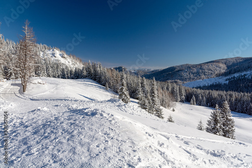 beautiful winter landscape in sunny day © lukaszimilena