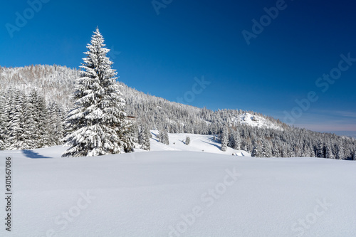 view on winter landscape with snow in sunny day