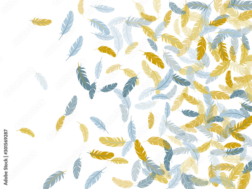 Obraz premium Flying feather elements airy vector design.
