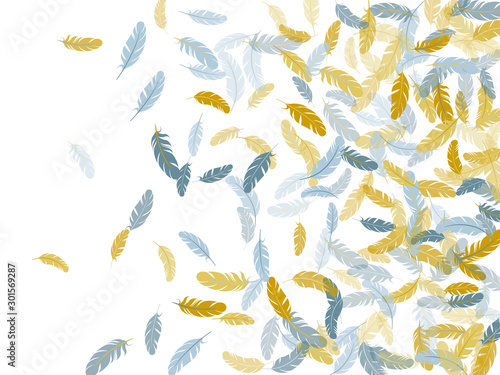 Flying feather elements airy vector design.