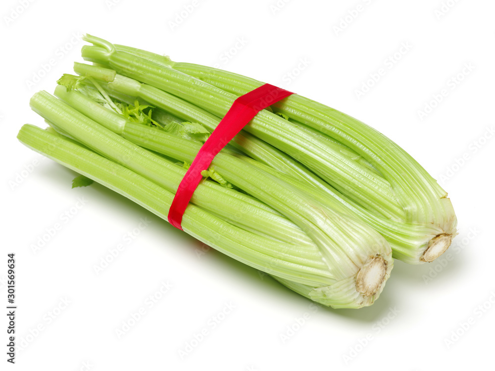 celery on a white background celery on a white background