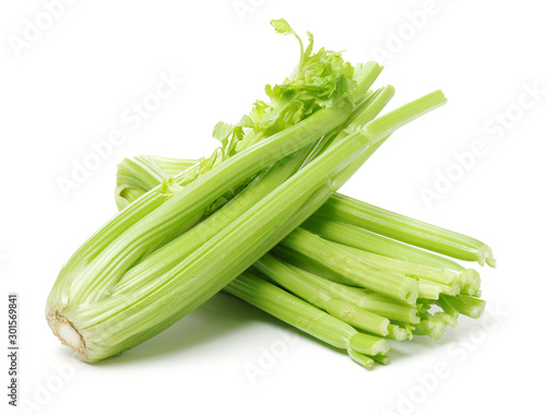 celery on a white background photo