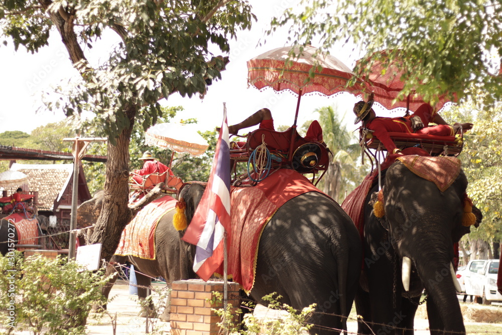 Elephant Riders in Thailand