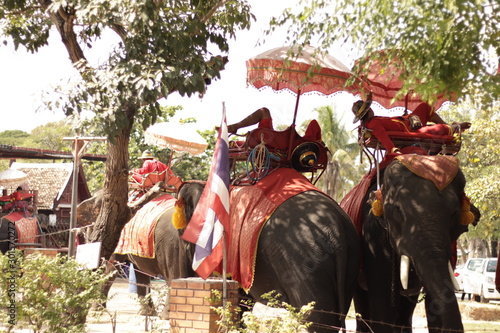 Elephant Riders in Thailand