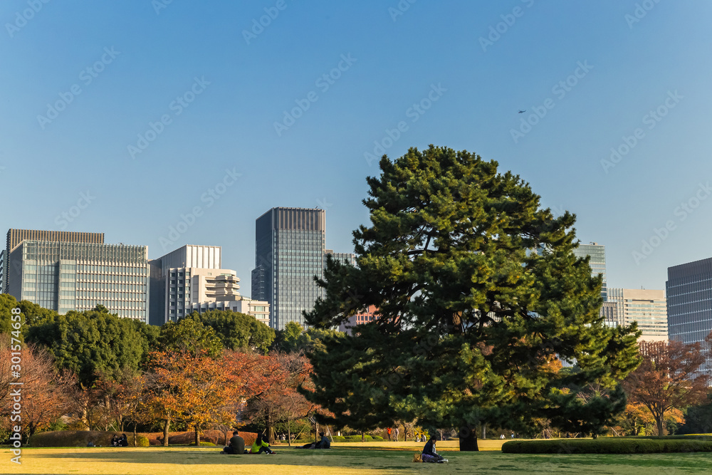 central park in autumn