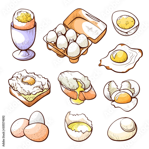 Raw, fried, sunny side up and boiled eggs hand drawn vector illustrations set