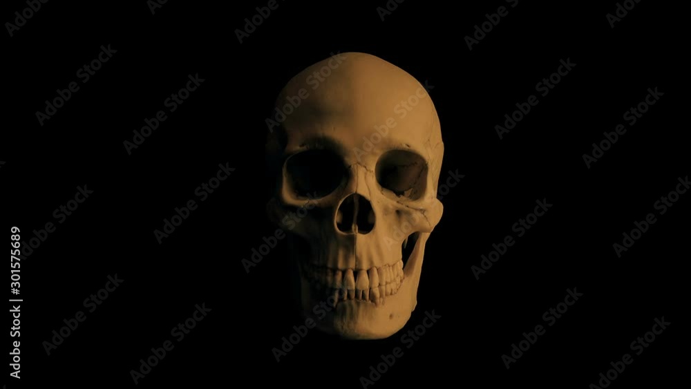 Old Brown Skull Opens Mouth Eats The Camera Old Brown Skull Opens Mouth Eats The Camera