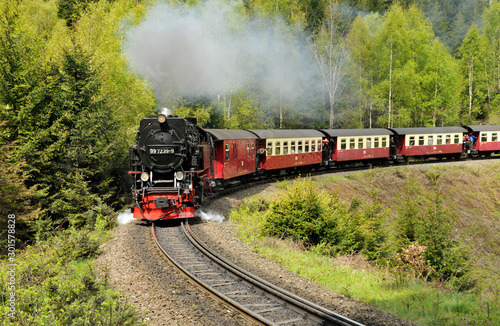 Harzer Schmalspurbahn im Wald photo