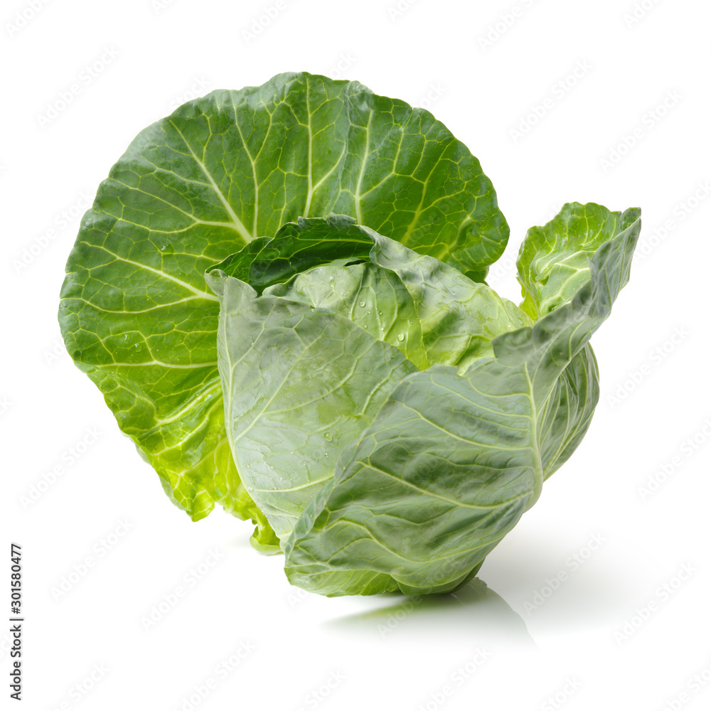 Fototapeta premium Cabbage on a white background