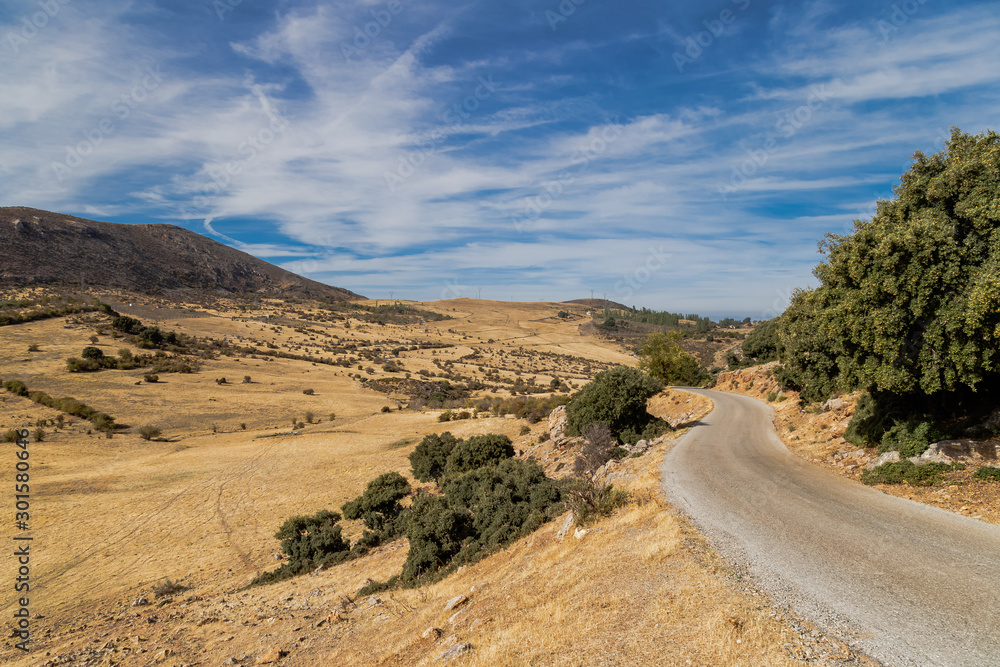 Fototapeta premium road in desert