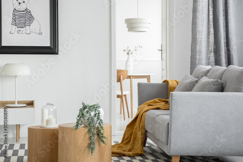 Trendy open space living and dining room interior with grey couch and wooden furniture © Photographee.eu