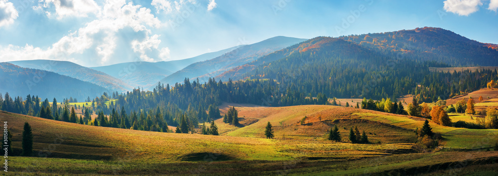 Fototapeta rural area of carpathian mountains in autumn. wonderful panorama of borzhava mountains in dappled light observed from podobovets village. agricultural fields on rolling hills near the spruce forest
