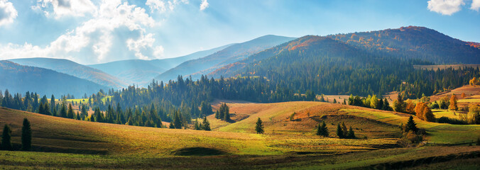 rural area of carpathian mountains in autumn. wonderful panorama of borzhava mountains in dappled light observed from podobovets village. agricultural fields on rolling hills near the spruce forest