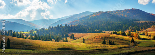 rural area of carpathian mountains in autumn. wonderful panorama of borzhava mountains in dappled light observed from podobovets village. agricultural fields on rolling hills near the spruce forest © Pellinni