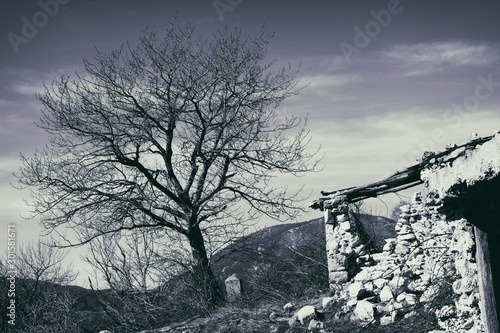 mountain view with ruin and tree in matese park