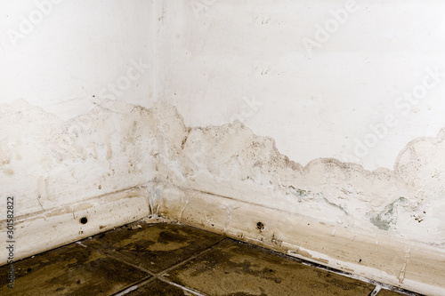 Принти на полотні Flooding rainwater or floor heating systems, causing damage, peeling paint and mildew