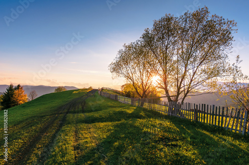 carpathian countryside at sunset in springtime. beautiful rural landscape with tree by the road. dirt pathway along the grassy rolling hills. distant ridge beneath a sky with clouds glowing before dus