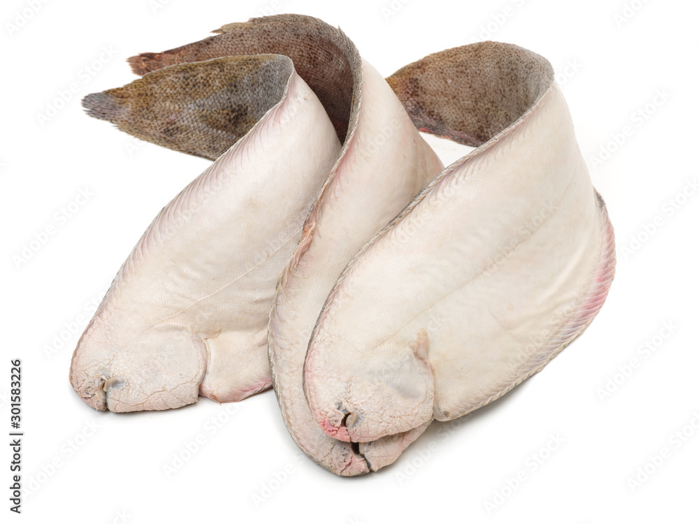 Sole fish on white background Sole fish on white background