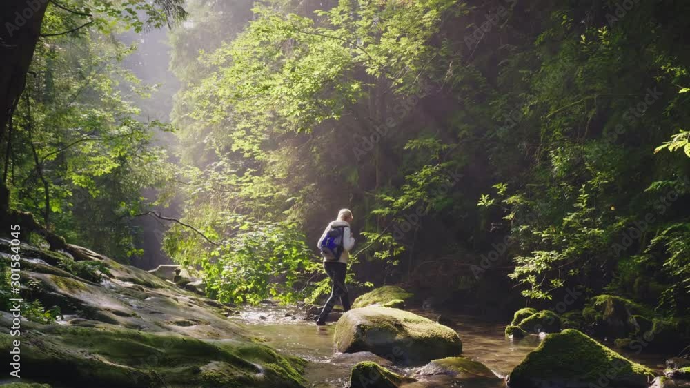 A lonely traveler in the forest crosses a mountain river. Lost in the jungle A lonely traveler in the forest crosses a mountain river. Lost in the jungle