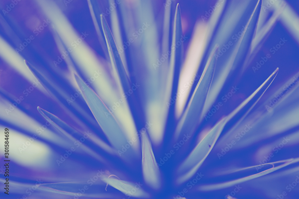 Naklejka premium Blurred floral background, blue neon glow, ultraviolet