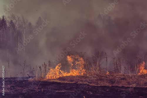 fire in the field   fire in the dry grass  burning straw  element  nature landscape  wind