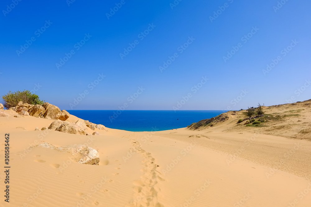 Seascape with wonderful sand view and colorful clean sea water on Mui Dinh coast, Vietnam. Royalty high quality free stock image of seascape.