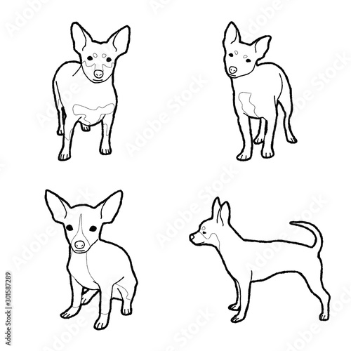 Chipin Animal Vector Illustration Hand Drawn Cartoon Art