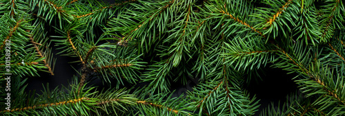 Christmas tree branches. The concept of the new year, christmas, nature. Banner. Flat lay, top view