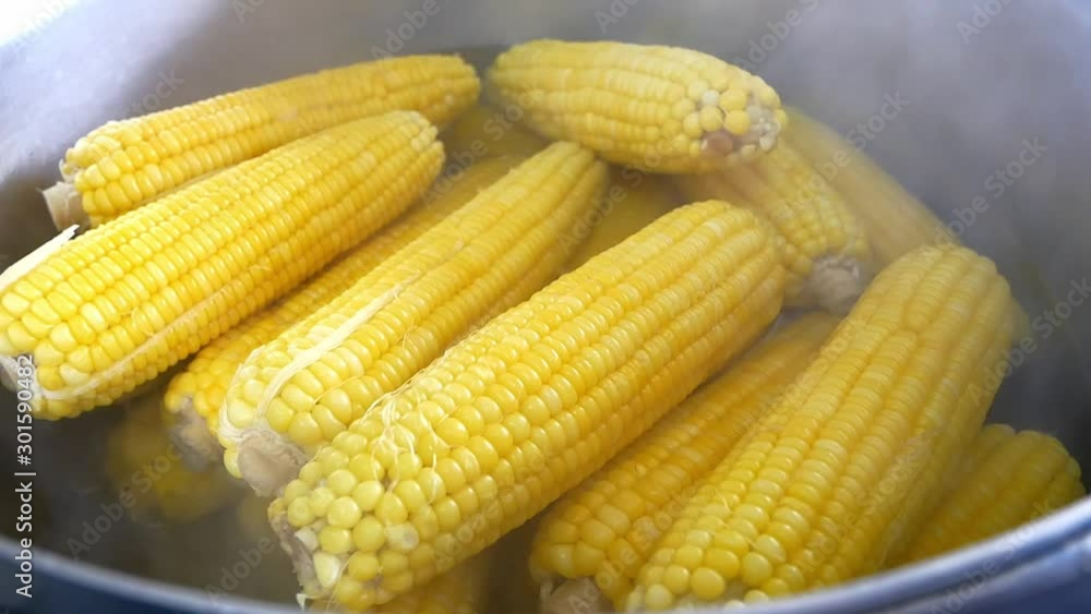 Boiled corn in boiling water with steam Boiled corn in boiling water with steam