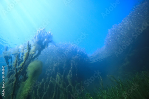 Fototapeta Naklejka Na Ścianę i Meble -  lake underwater landscape abstract / blue transparent water, eco nature protection underwater