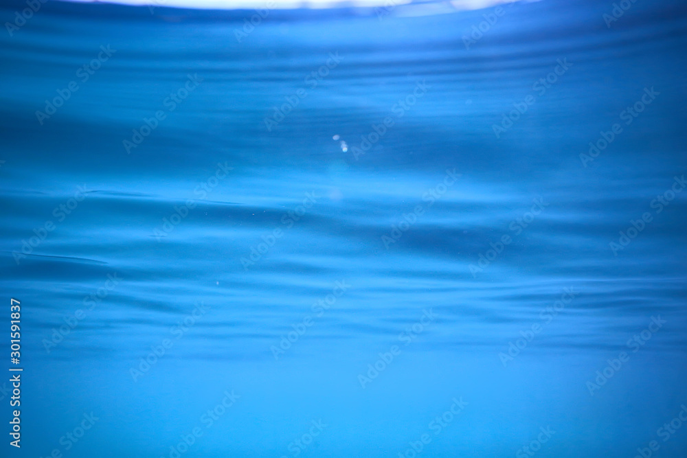 Obraz premium lake background water underwater abstract / fresh water diving background nature underwater ecosystem background