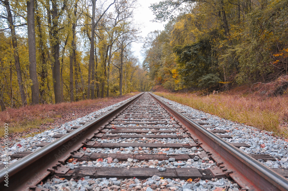 Fototapeta premium Rural railroad tracks