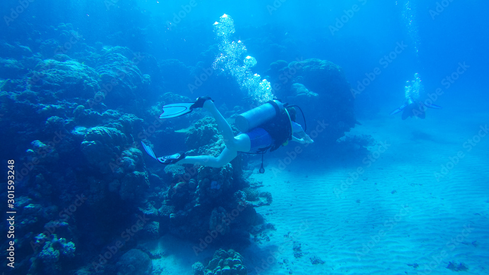 Diving with air balloon in the red sea. Instructor. Girl and coral reefs. Traveling lifestyle. Water sports. Beach holidays. Diving with air balloon in the red sea. Instructor. Girl and coral reefs. Traveling lifestyle. Water sports. Beach holidays.