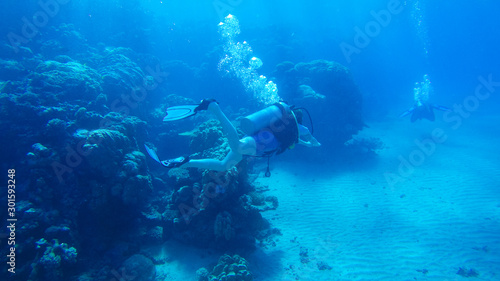 Wallpaper Mural Diving with air balloon in the red sea. Instructor. Girl and coral reefs. Traveling lifestyle. Water sports. Beach holidays. Torontodigital.ca