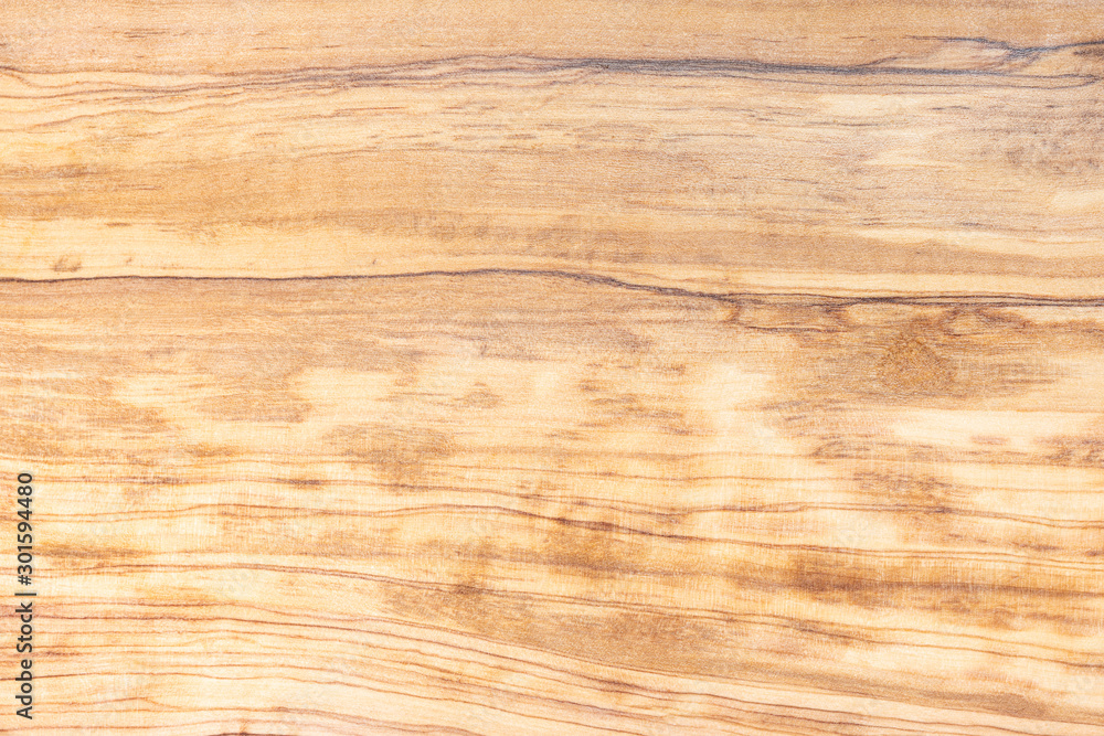 Fototapeta premium Olive tree wood texture and material