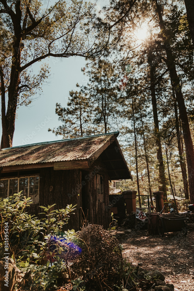 Cabin in the woods Cabin in the woods