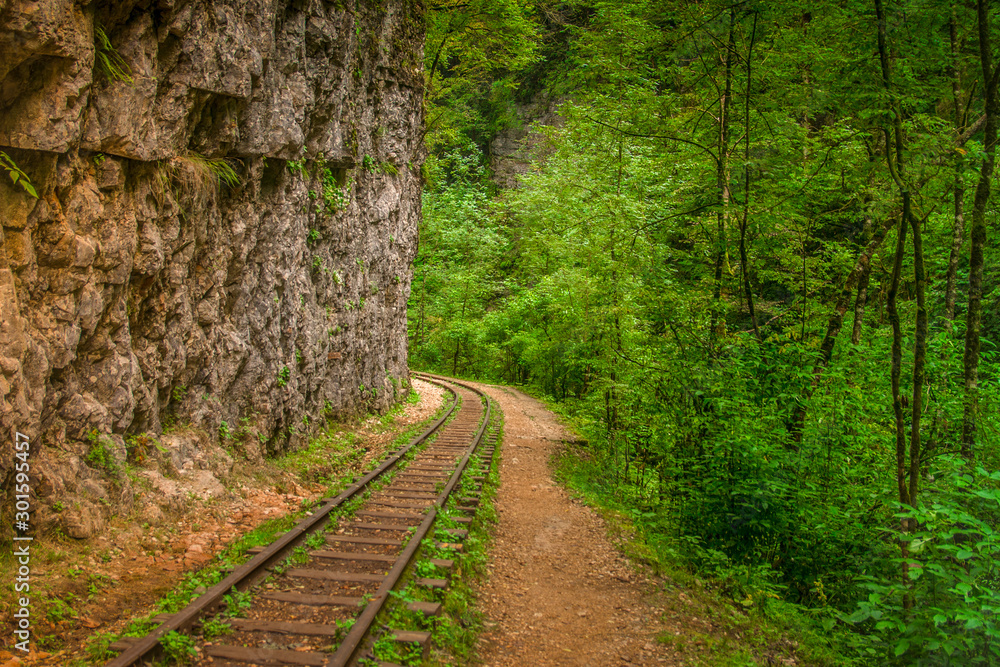 Naklejka premium Narrow gauge railway in the mountains. Republic of Adygea, GUAM gorge, Russia.