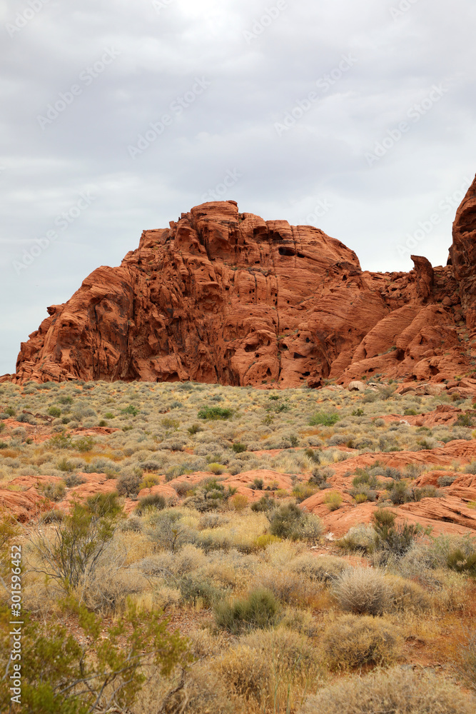 Fototapeta premium Valley of fire - Statepark (Nationalpark) - USA