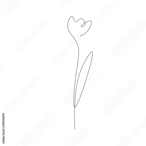 Flower continuous line drawing on white background, vector illustration 