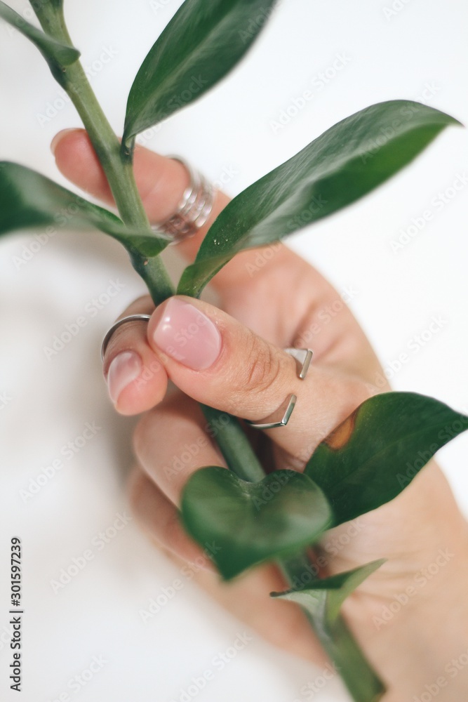 Tender jewerly on female hand, close up shot