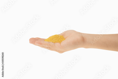 millet in hands with white background