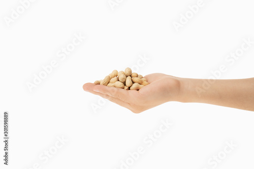 peanut in hands with white background