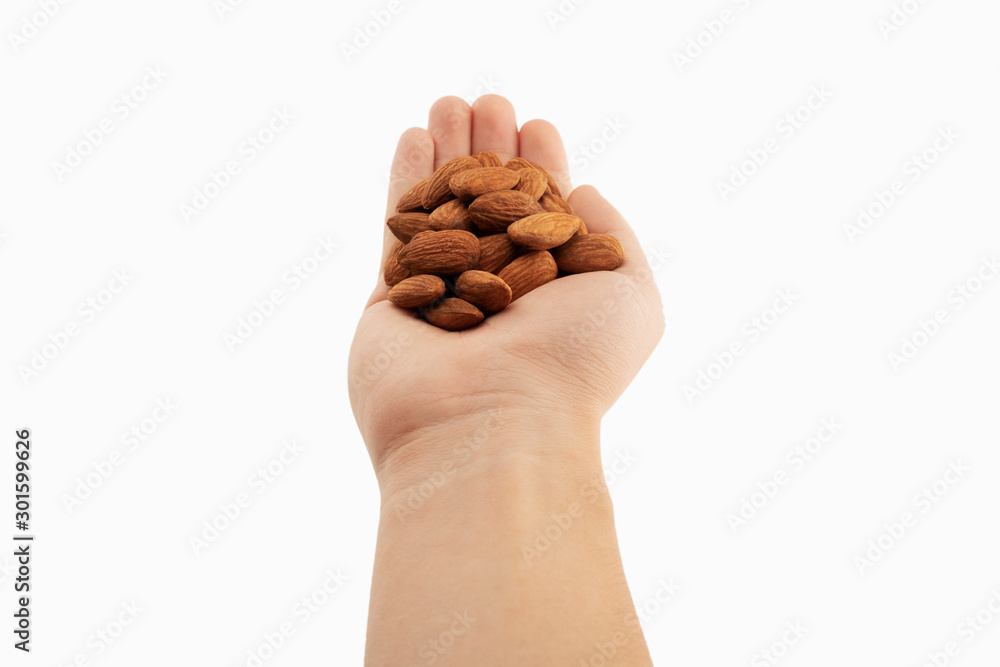 almond in hands with white background almond in hands with white background